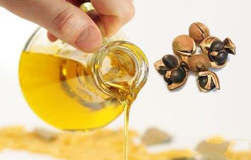 未来茶油或将登上高端食用油王者之座
