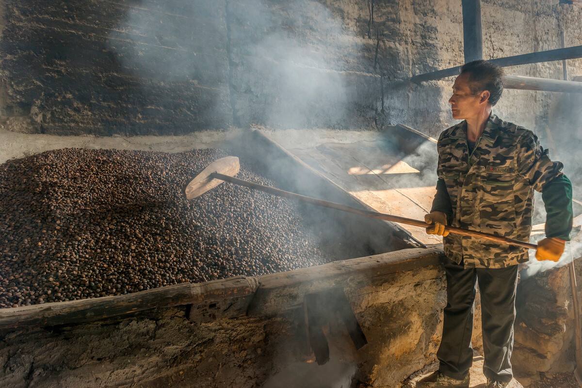 全省油茶低产林改造与茶油小作坊升级改造三年行动启动会在长沙召开