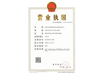 企业营业执照