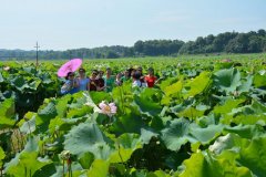 【潇湘晨报】湘潭小伙放弃高薪回乡务农 带贫困户脱贫