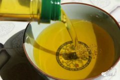 【茶油文化】为什么说茶油是个好东西