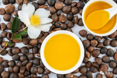 【茶油文化】权威对山茶油的解读